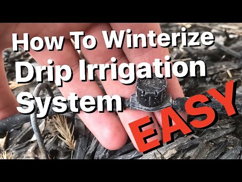 How to Blow out Drip Irrigation | How to Winterize Drip Irrigation