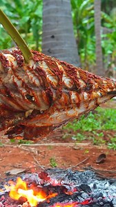giant fish grill | Village Grandpa Life