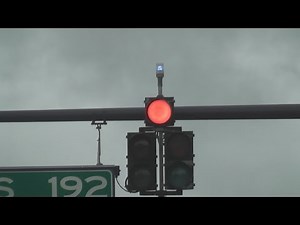 Blue Traffic Lights - Orlando, FL