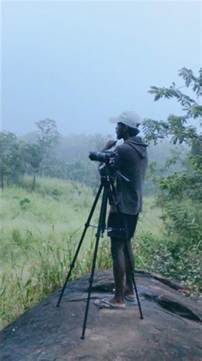 Wildlife photography Canon 800d with 75-300mm lens # #wildlife #travel