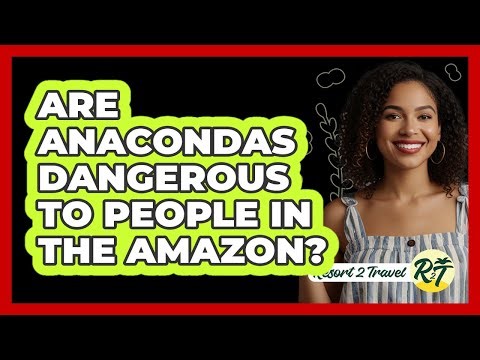 Are Anacondas Dangerous To People In The Amazon?