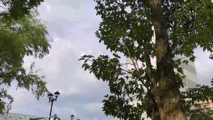 Baga | movie | 2022 | Official Trailer