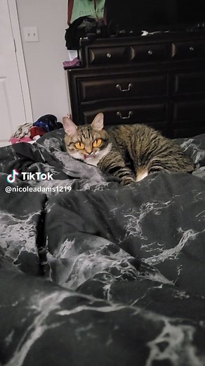 Nicole Adams (@nicoleadams1219)’s videos with