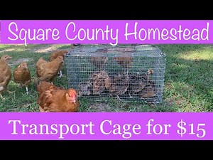 DIY Transport Cage