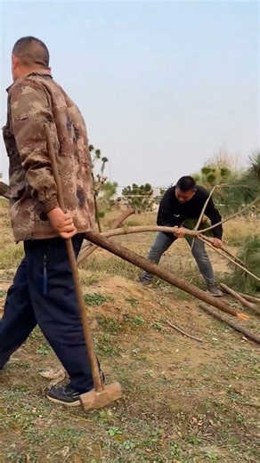 Horticultural landscape tree modeling processing