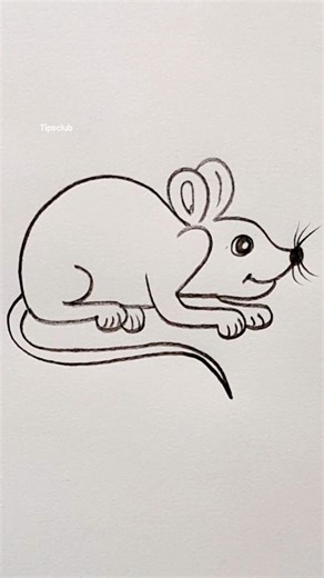 Quick Drawing Tutorial #Rat #drawing #shorts #artist #pencildrawing #stepbystep #tipsclub