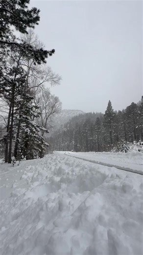 RGS 20 leads a freight train up to cascade canyon today . Hunter L video | Denver and Rio Grande Western Railroad