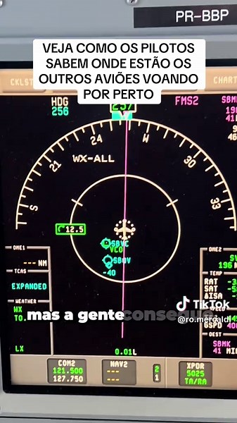 Importância do TCAS na Segurança Aérea