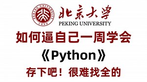 【整整500集】2025最全最细自学Python全套教程，全程干货无废话！逼自己一周学完，编程技术猛涨！从零基础小白到精通Python全栈只要这套就够啦！！