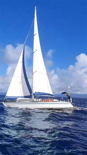She's a Finngulf 44. A 44 ft Finnish-built classic cruiser-racer designed by Håkan Södergren and produced between 1991–2005, with 14 units built. Known for high-quality, comfortable, and stiff performance, this GRP masthead sloop features a ~11t displacement~2.2m draft, and a spacious, teak-finished interior. #fatbottomedgirls #finngulf #finngulf44 #showmeyours #singlehandedsailing Single Handed Sailing @reefearly Peter Ryan | Peter Ryan