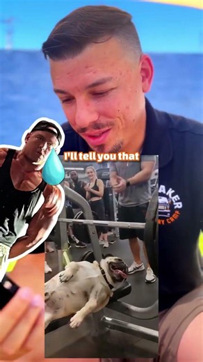 Yes, we have treadmills for dogs. 🏃‍♂️🐾