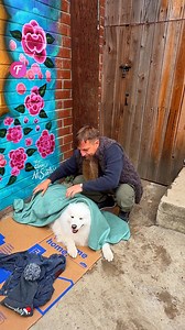 Act of kindness: Helping a homeless man and his dog | Fabiosa - Live easy