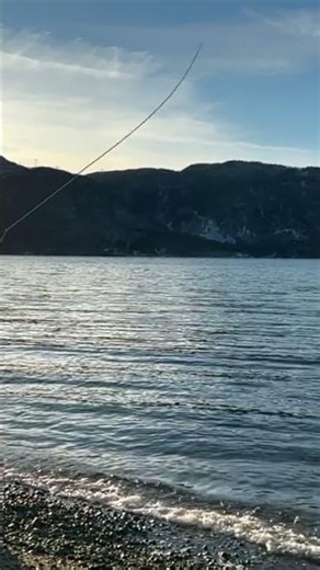 Winter Sea Trout Fishing – Fish in Snow & Sub-Zero Temps #flyfishing #seatrout #seatroutfishing