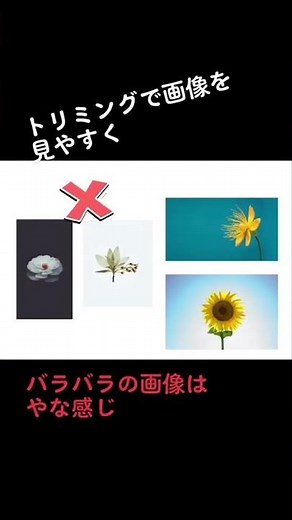 画像をトリミングして統一感を出すとオシャレ！#パワーポイント #デザイン #トリミング#shorts