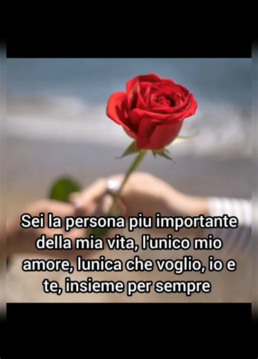 #amore #amoreterno #amoremio #amorevero #persempreinsieme