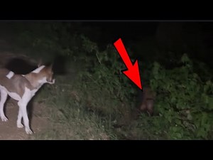 Live ghost recording camera capture 😱