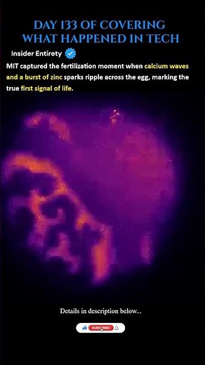 MIT Captures the First Moment of Life: Zinc Sparks and Fertilization Waves #science #life #biology