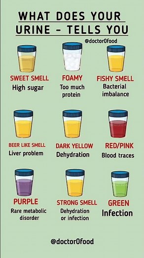 What Your Urine Say About Your Health | Urine Colors & Smells Explained #healthylifestyle #healthtip