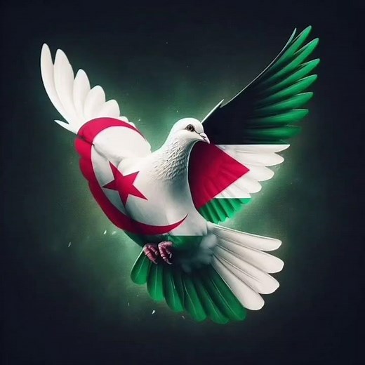 تصميمي على الجزائر 🇩🇿 #minecraft #الوكره