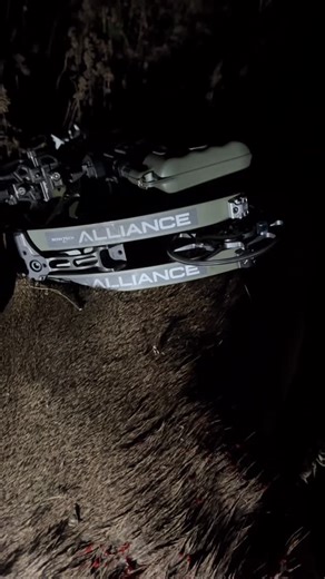 Heartland Bowhunter on Instagram: "Field tested ☑️ The new @bowtecharchery Alliance is a shooter! 🎯 #pov #bowhunting #fulldraw #aimsmallmisssmall #newbreedofhunter"