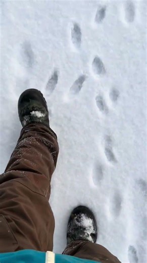 This is peak winter texture.