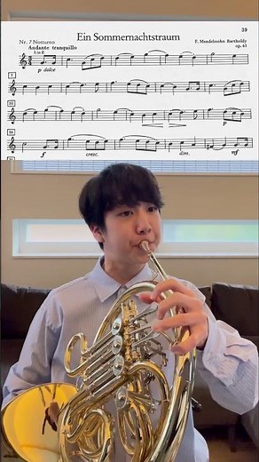 メンデルスゾーン: 真夏の夜の夢 夜想曲 Mendelssohn : A Midsummer Night's Dream Nocturne #frenchhorn #horn #ホルン