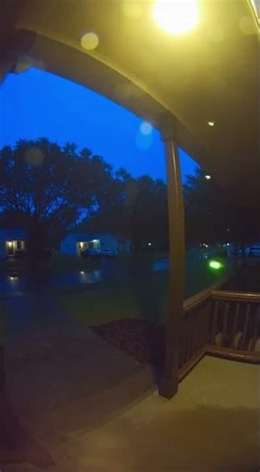 Fireflies Light Up the Night in Sync #fireflies #lightsync