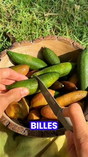 This lemon hides caviar… but it's not fish! #lemon #caviar #wellbeing #health #shorts