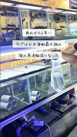 田舎の海水魚通販店が世界初の「蔵×アクアリウム」を作る話①｜人口4000人以下の町で田舎暮らし
