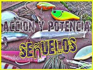 Cañas de Pesca: Potencia y Acción | BO Fishing - Guia de Pesca