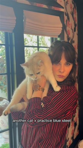 Zooey Deschanel on Instagram: "Extremely realistic morning routine"