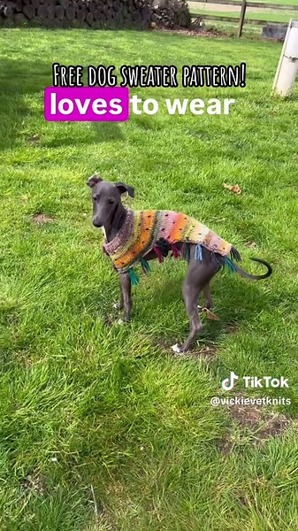 Custom Dog Sweater Pattern for Your Pup