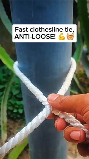 Fastest Way to Tie a Clothesline (Won’t Slip!)