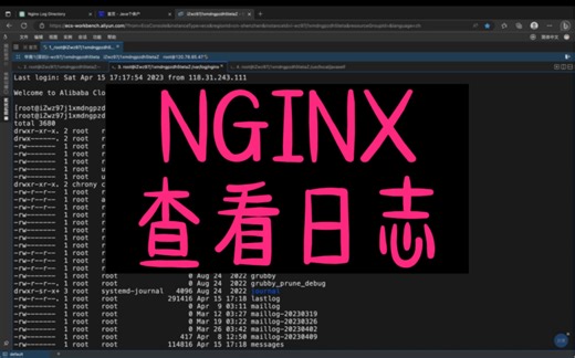 NGINX如何查看日志？