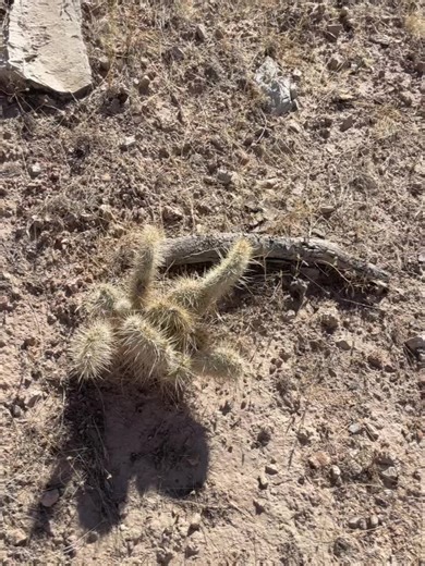 Caseysimpson (@caseysimpson65)’s videos with original sound - Caseysimpson