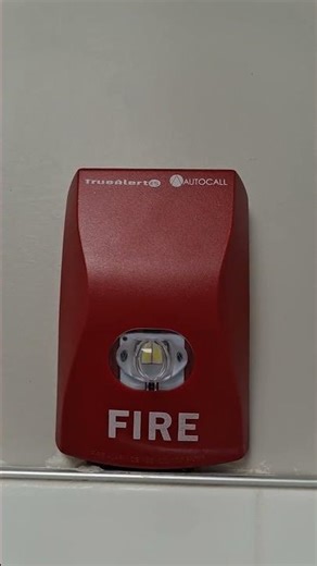 goofy Autocall fire alarm