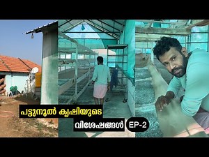 പട്ടുനൂൽ കൃഷിയുടെ വിശേഷങ്ങൾ, രണ്ടാം ദിവസം