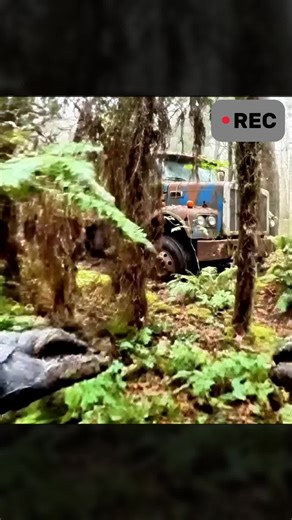 Forgotten WWII Military Truck Found in the Forest