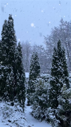 Hello snow ⛄️☃️❄️