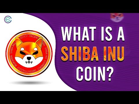 What is a Shiba Inu Coin & How Does it Work? Simply Explained | Cryptela