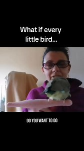 "Yes" and "No" communication unlocks powerful interactions. 🔥🐥 I *love* preference training ("Which do you want?" while holding up stuffs) but-- "Yes" and "No" lift us off of physical objects into the world of the abstract - into the world of the unseen ❤️ "Do you want to go outside?" "Did you want an apple?" ...without having to have anything with you at all. 🤯 And I'm teaching it for the very first time at our (Free!) Bird Learnin' Palooza in a few weeks! 🤗 Register on Zoom! 🎊 ✨️Link in b