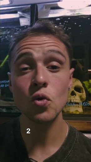 Koi Angelfish: The Stunning Snowflake Fish That Beg for Food! #shorts