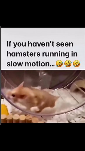 #BigOnes | Doctor Dot