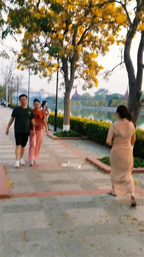 original sound - AYE CHAN AUNG📖📖📖 ပါဝင်သည့် Innwa Thu (@innwathu) ၏ ဗီဒီယိုများ