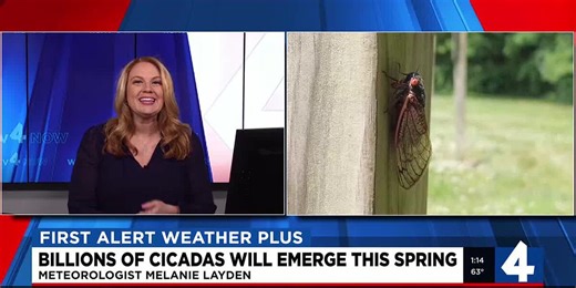 Billions of cicadas will emerge this spring