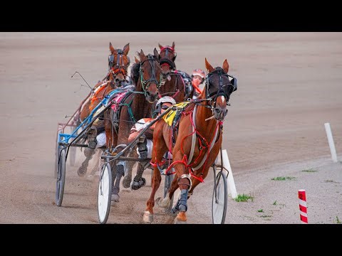 Quinté de demain 100% 3/12/2025