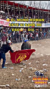 😳 El Propio Mono Runy! @fans destacados🫡 Una Vista En Las Corralejas #1🫡 #torosbravos🫡 #corralejas | Mc Spawn ⁰⁴⁴