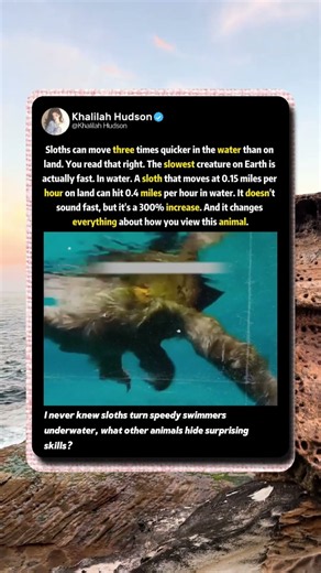 Sloths Are Way Faster Underwater 🦥 #Wildlife #NatureFacts