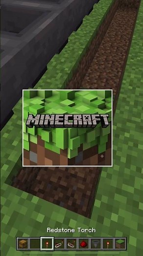 What Was the First Wolf Skin in Minecraft?