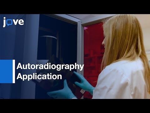 Autoradiography Application